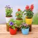A guide on how to decide flowers and plants for every room