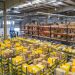Impact of E-commerce Growth on Logistics and Last-Mile Delivery Systems